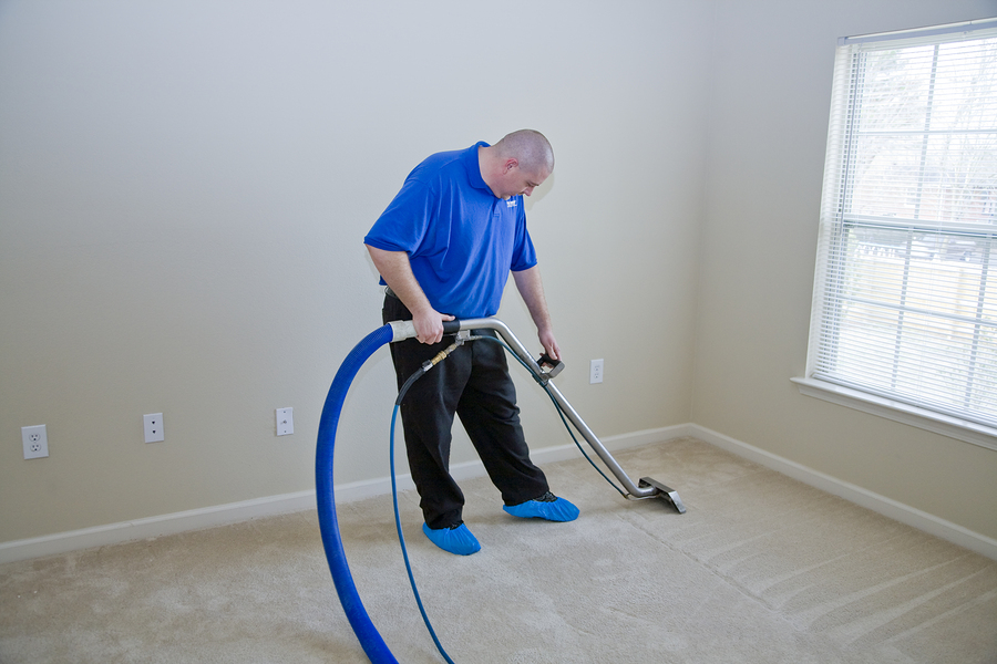 Professional Carpet Cleaning Services Cheyenne Laramie County WY   Carpet Steam Cleaning 4604428 